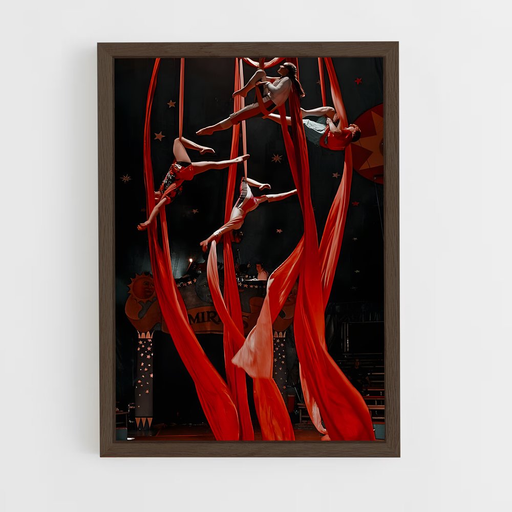Poster Cirque de soleil (vue 5)